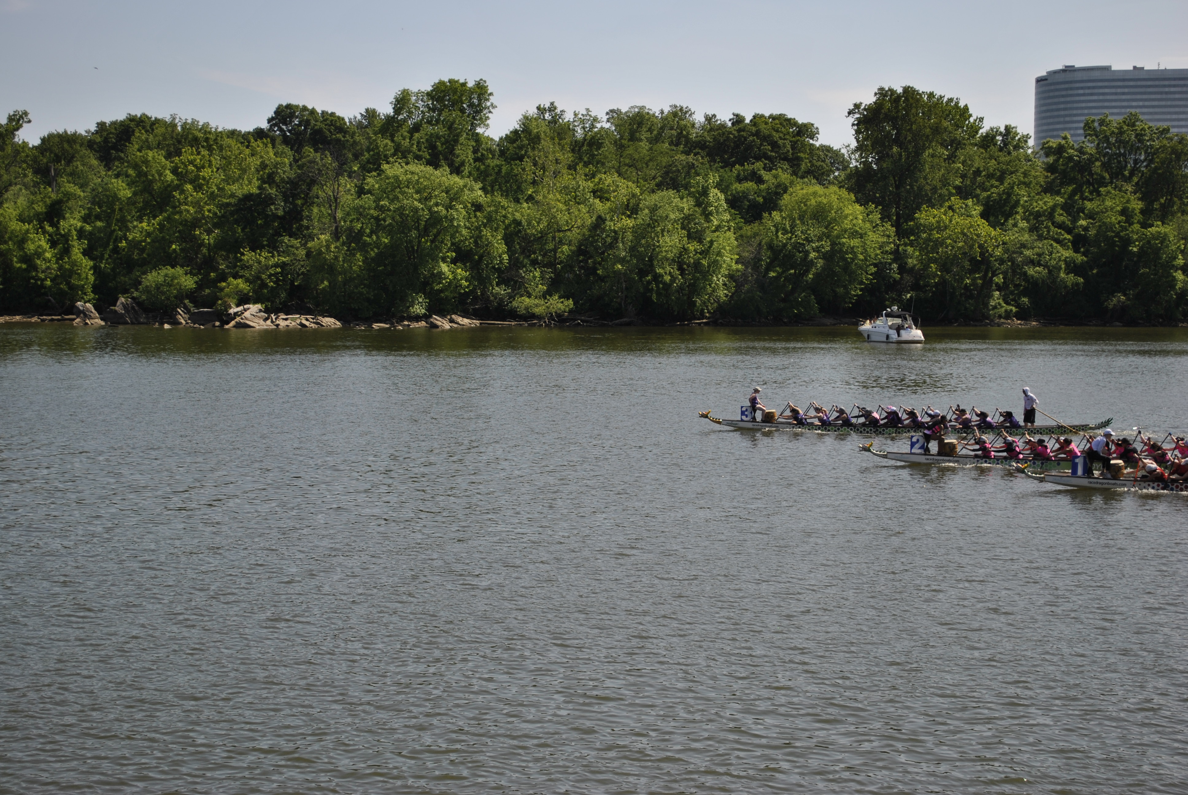 DC Dragon Boat Festival at Georgetown Waterfront Park